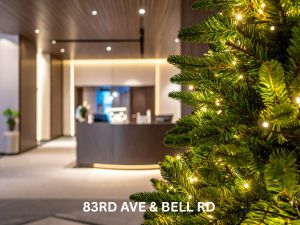 How do accent lights differ from pathway lights?