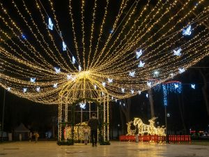 Professional Lighting for Homes and Businesses